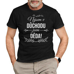 Nejsem v důchodu, jsem děda - pánské tričko s potiskem