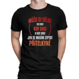 Jen se musím zeptat přítelkyně - pánské tričko s potiskem