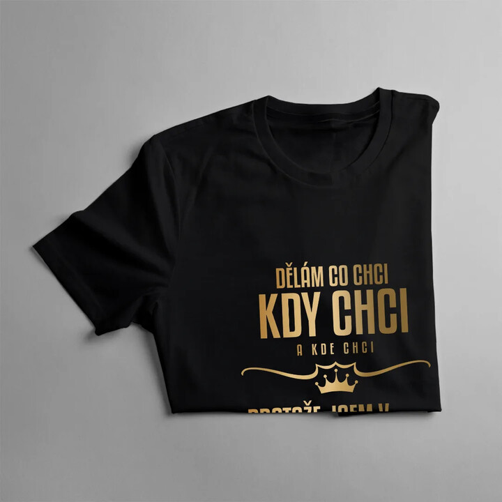 Dělám, co chci, kdy chci a kde chci, protože jsem v důchodu - pánské tričko s potiskem