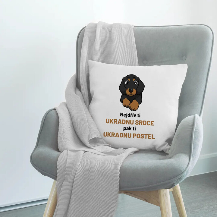 Nejdřív ti ukradnu srdce, pak ti ukradnu postel - polštář s potiskem