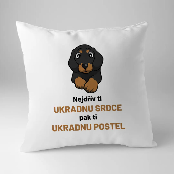 Nejdřív ti ukradnu srdce, pak ti ukradnu postel - polštář s potiskem