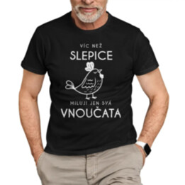 Víc než slepice miluji jen svá vnoučata - pánské tričko s potiskem