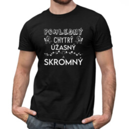 Pohledný, chytrý, úžasný a skromný - pánské tričko s potiskem