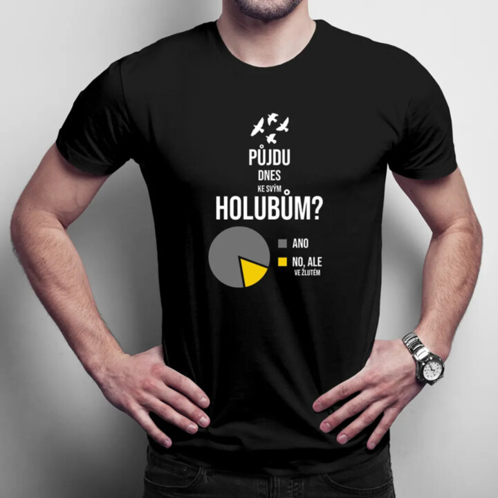 Půjdu dnes ke svým holubům? - pánské tričko s potiskem