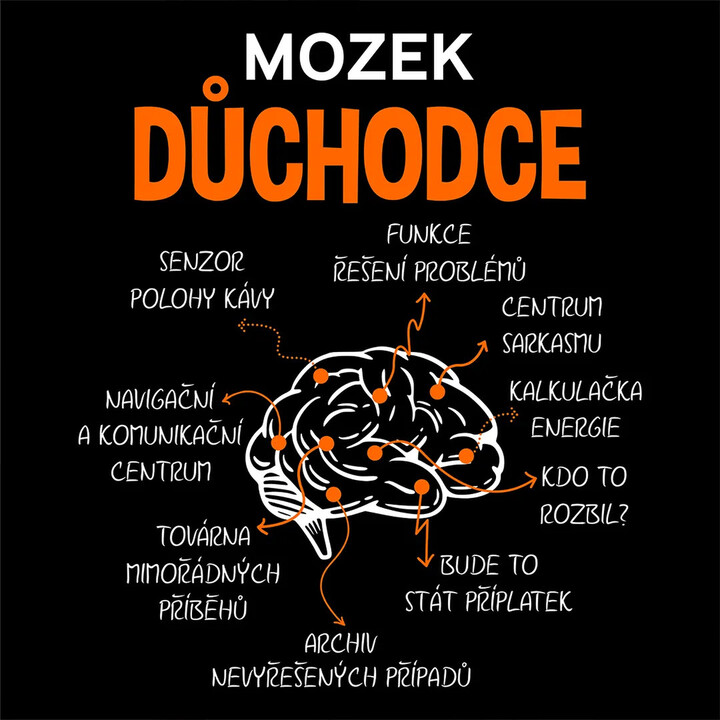 Mozek důchodce - pánská mikina s potiskem
