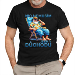 Nic nemusím, jsem v důchodu - pánské tričko s potiskem