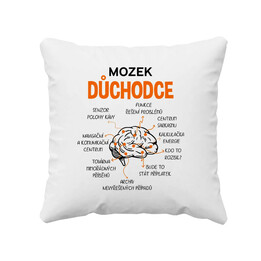 Mozek důchodce - polštář s potiskem