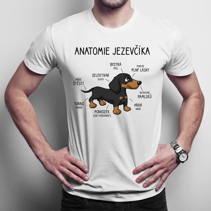Anatomie jezevčíka - pánské tričko s potiskem