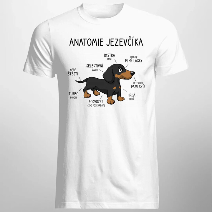 Anatomie jezevčíka - pánské tričko s potiskem