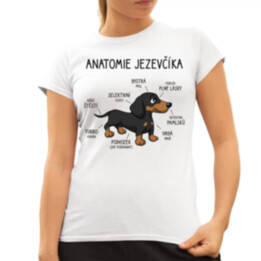 Anatomie jezevčíka  - dámské tričko s potiskem