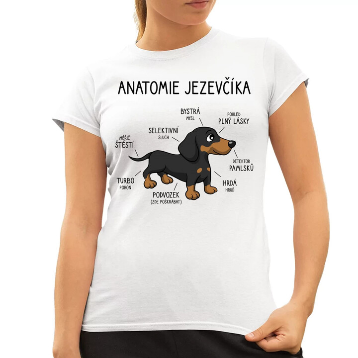 Anatomie jezevčíka  - dámské tričko s potiskem