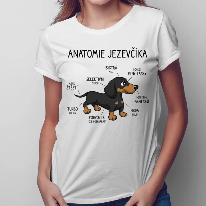 Anatomie jezevčíka  - dámské tričko s potiskem