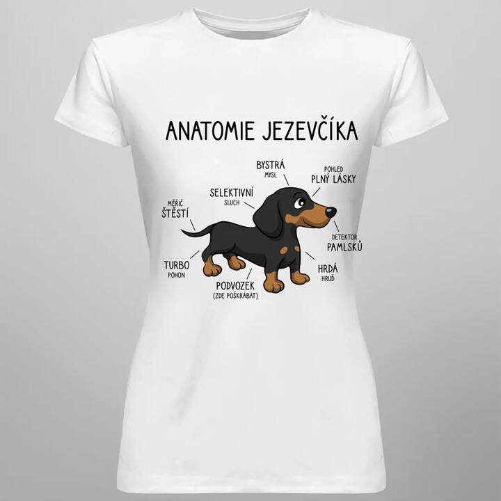 Anatomie jezevčíka  - dámské tričko s potiskem