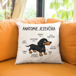 Anatomie jezevčíka - polštář s potiskem