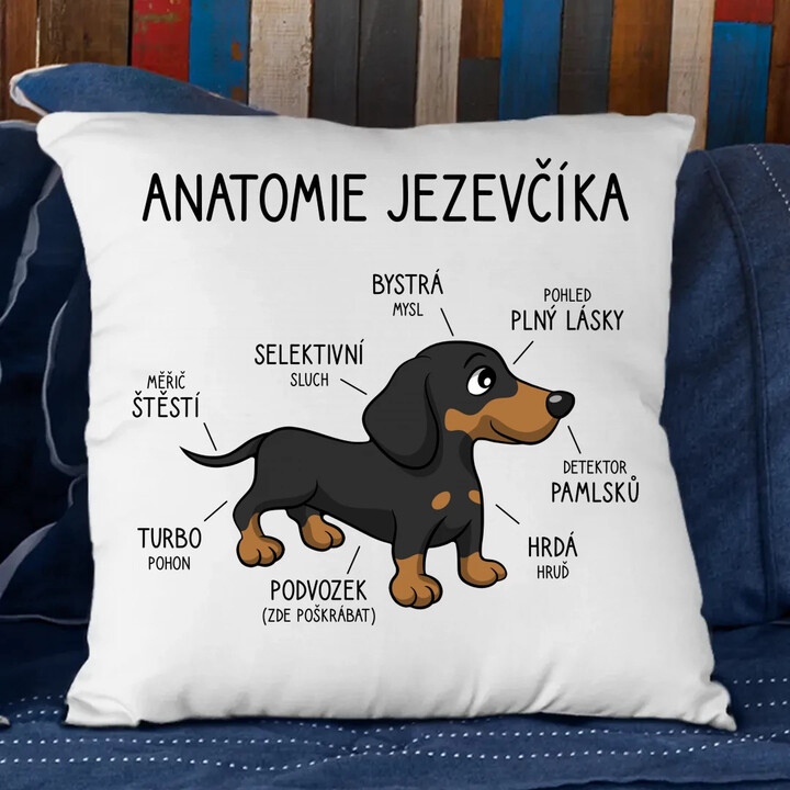 Anatomie jezevčíka - polštář s potiskem