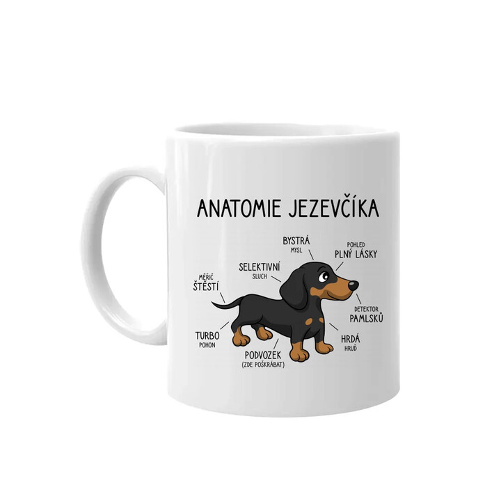 Anatomie jezevčíka - hrnek s potiskem