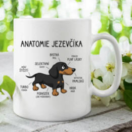 Anatomie jezevčíka - hrnek s potiskem