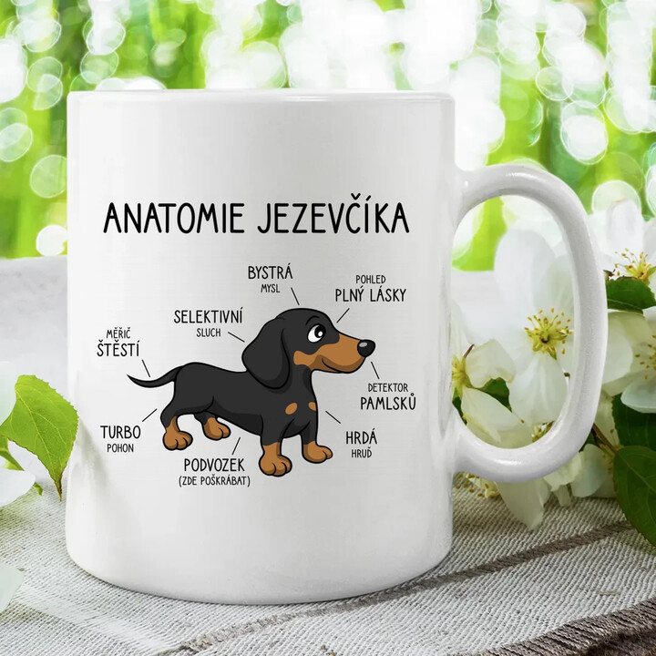 Anatomie jezevčíka - hrnek s potiskem