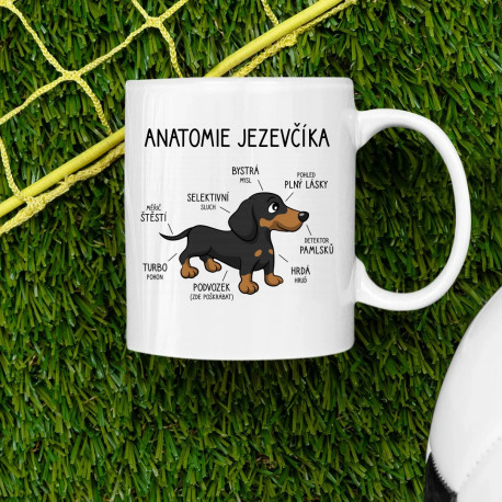 Anatomie jezevčíka - hrnek s potiskem