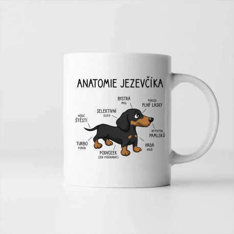 Anatomie jezevčíka - hrnek s potiskem