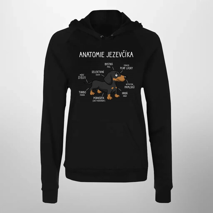 Anatomie jezevčíka - dámská mikina s potiskem