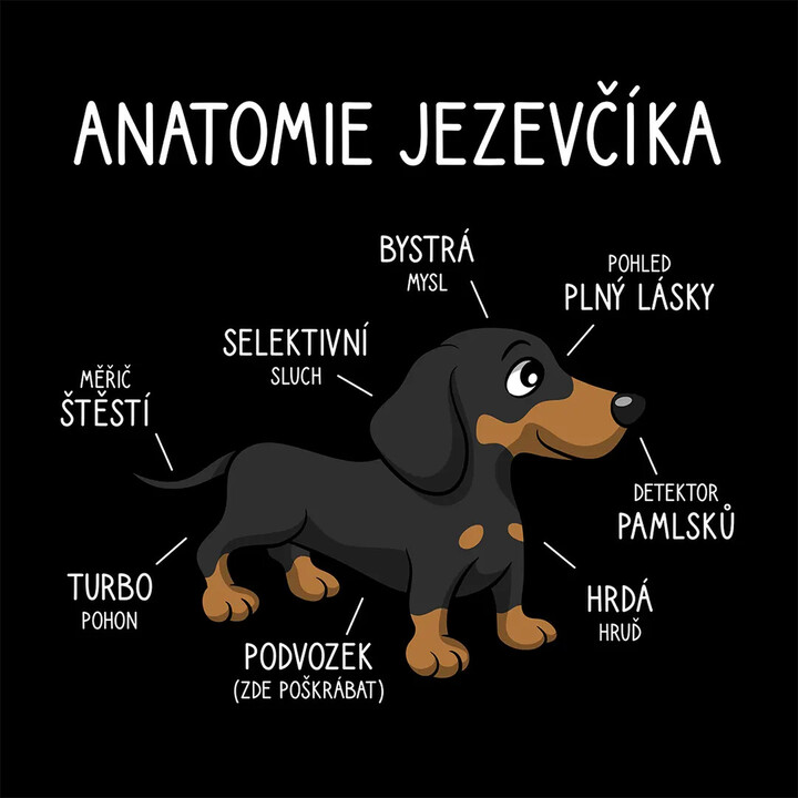 Anatomie jezevčíka - dámská mikina s potiskem