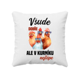 Všude dobře, ale v kurníku nejlépe - polštář s potiskem