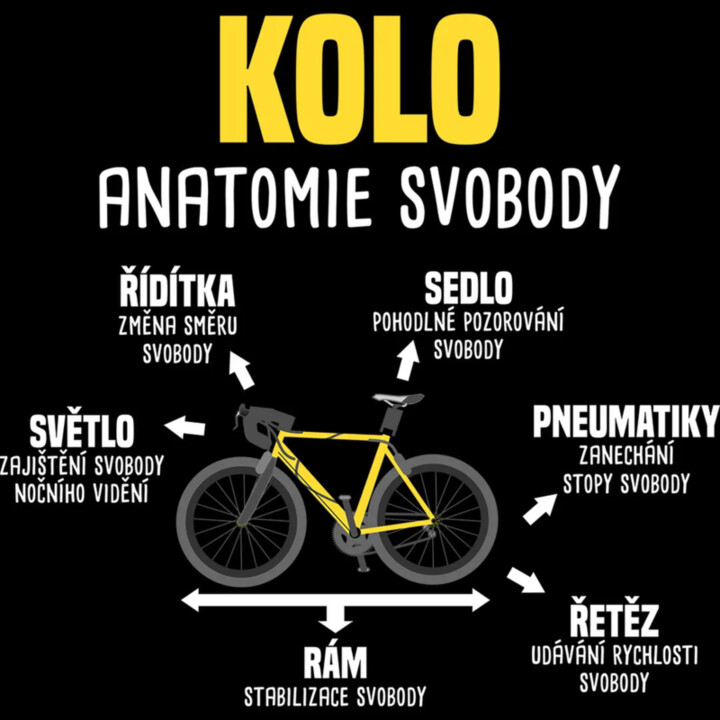 Kolo anatomie svobody - pánská mikina s potiskem