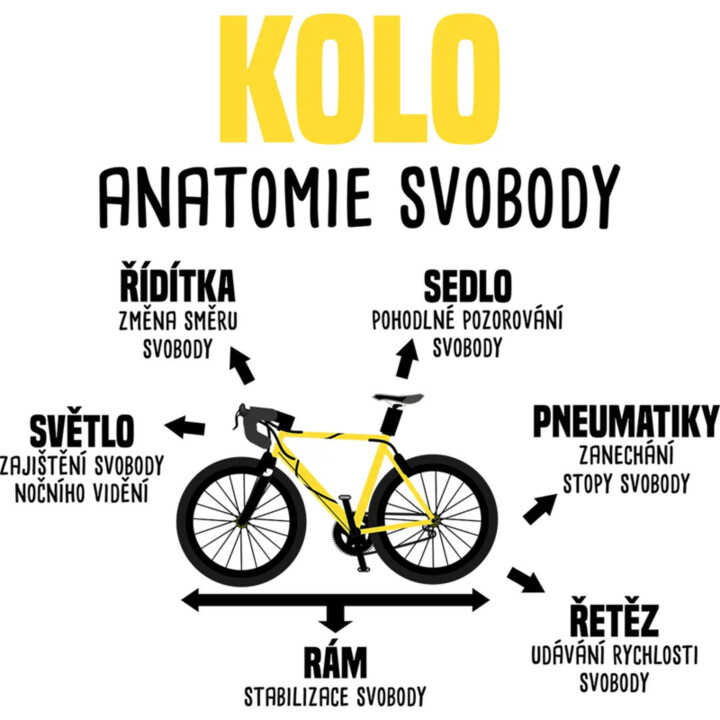 Kolo anatomie svobody - polštář s potiskem