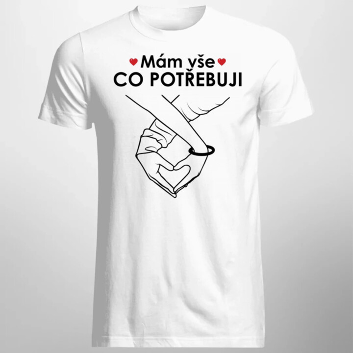 Mám vše, co potřebuji - pánské tričko s potiskem