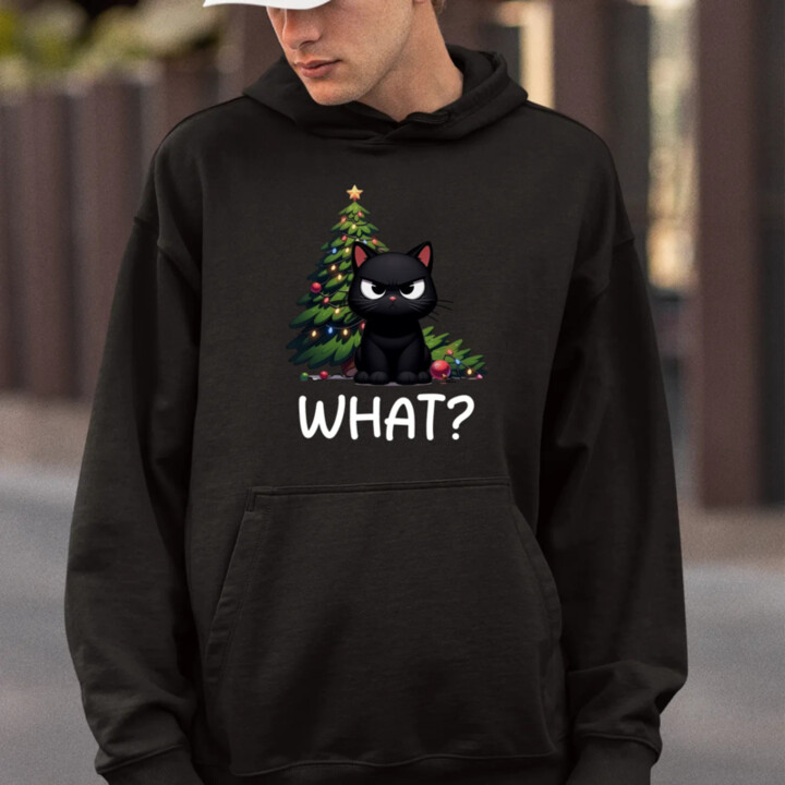 What? - pánská mikina s potiskem