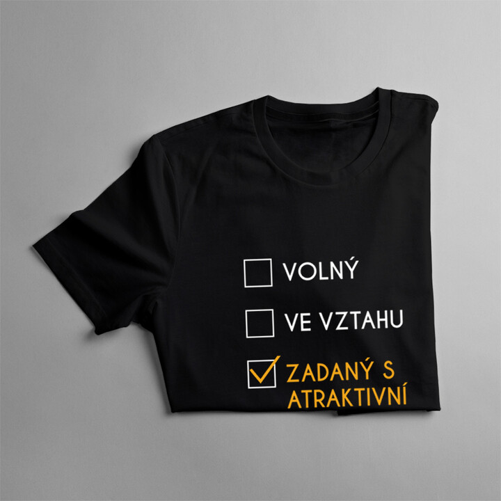 Zadaný s atraktivní programátorkou - pánská trička  s potiskem