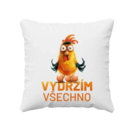 Vydržím všechno - polštář s potiskem
