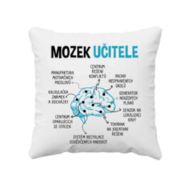 Mozek učitele - polštář s potiskem