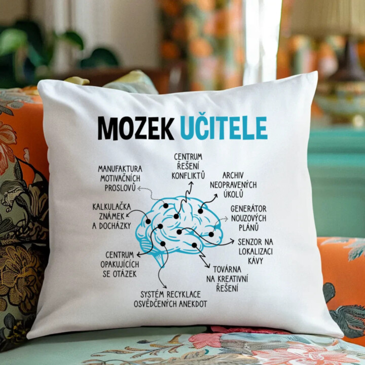 Mozek učitele - polštář s potiskem