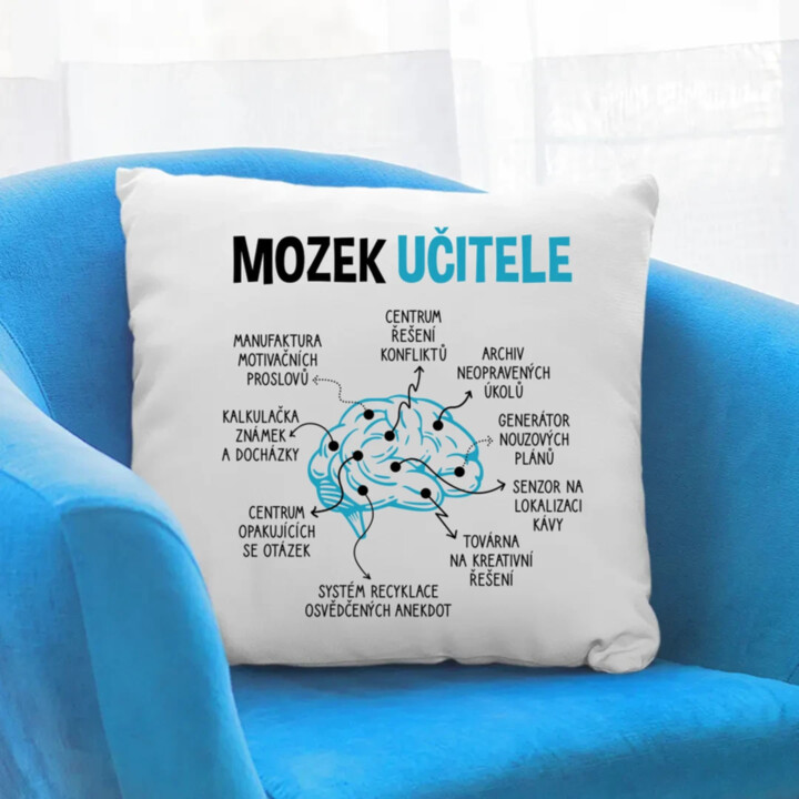 Mozek učitele - polštář s potiskem