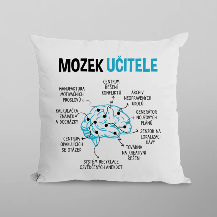 Mozek učitele - polštář s potiskem