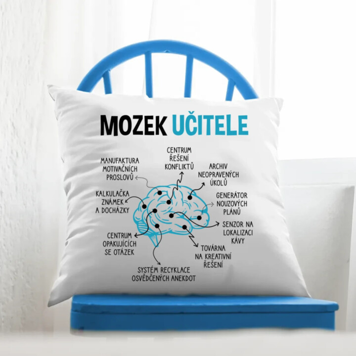 Mozek učitele - polštář s potiskem