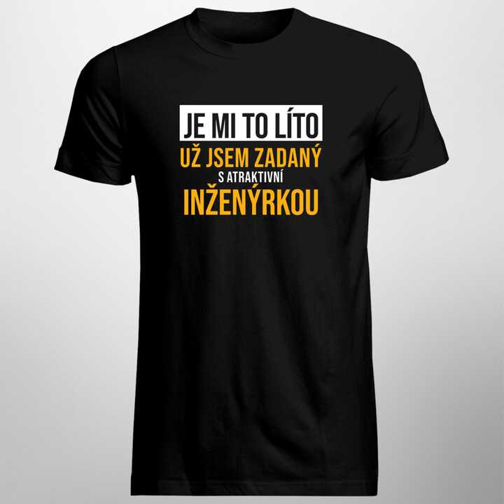 Zadaný s atraktivní inženýrkou - pánské tričko s potiskem