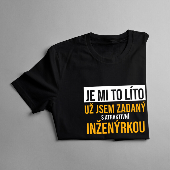 Zadaný s atraktivní inženýrkou - pánské tričko s potiskem