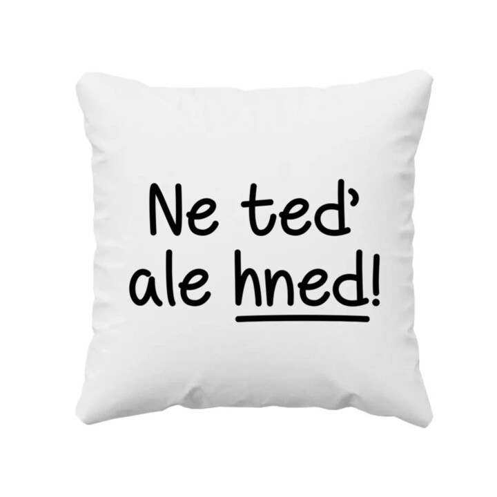 Ne teď, ale hned! - polštář s potiskem