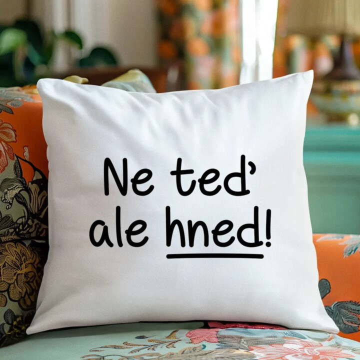 Ne teď, ale hned! - polštář s potiskem