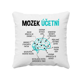 Mozek účetní - polštář s potiskem