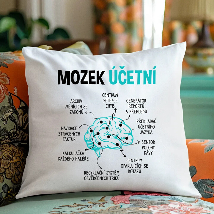 Mozek účetní - polštář s potiskem