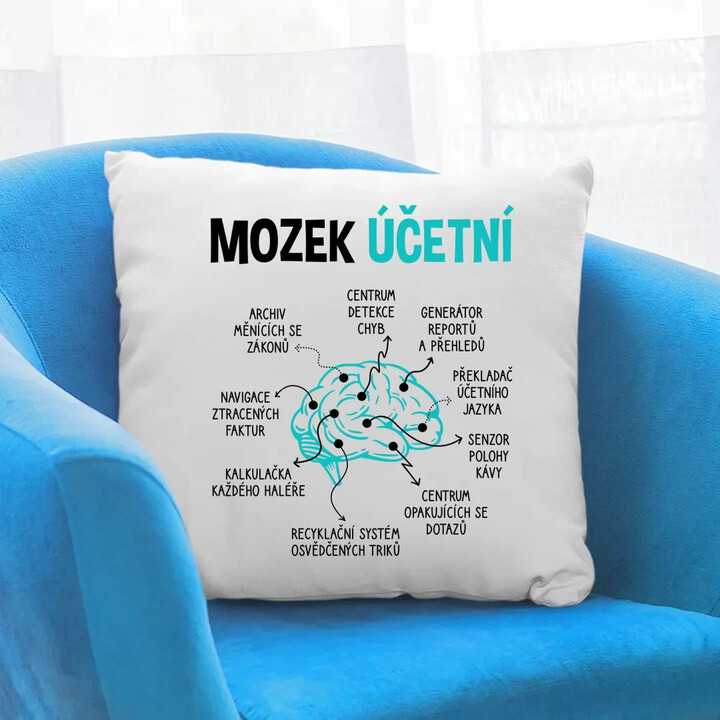 Mozek účetní - polštář s potiskem