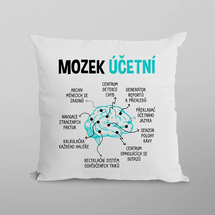 Mozek účetní - polštář s potiskem