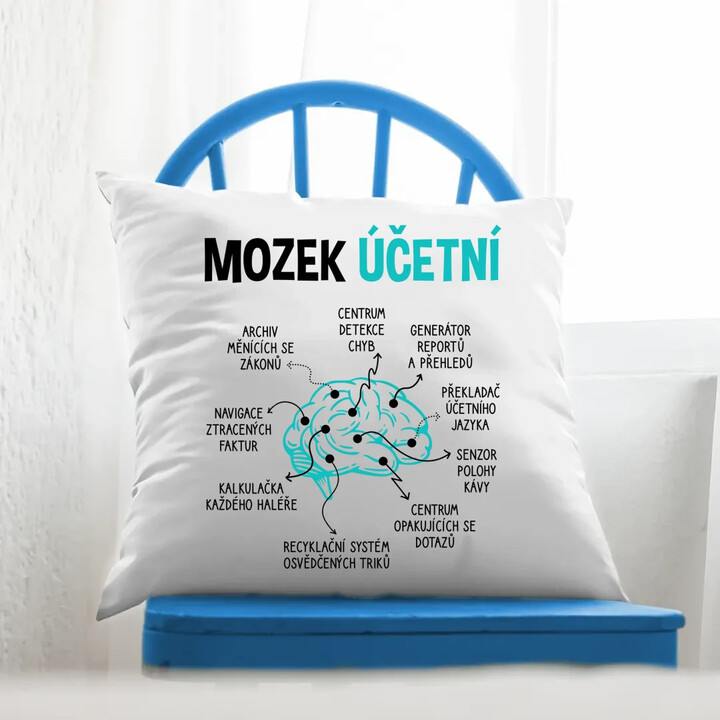 Mozek účetní - polštář s potiskem
