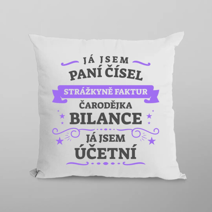 Já jsem paní čísel, strážkyně faktur - účetní         - polštář s potiskem