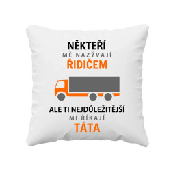 Někteří mě nazývají řidičem - polštář s potiskem