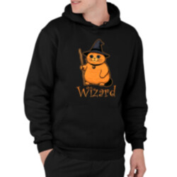 Wizard - kočičí čaroděj - pánská mikina s potiskem